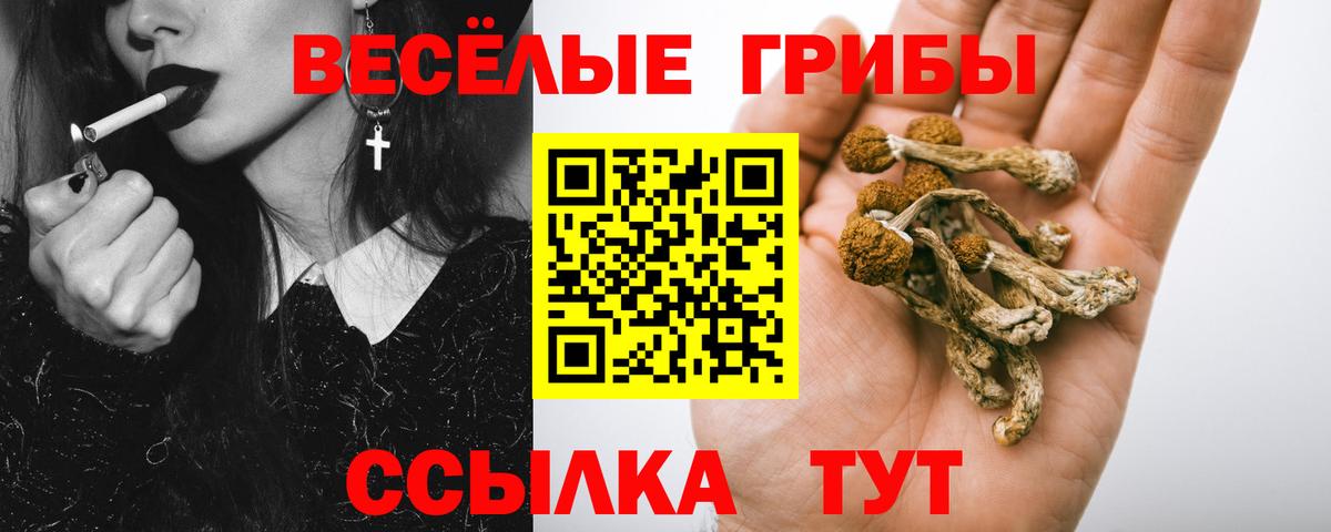 Волоколамск  Псилоцибиновые грибы MAGIC MUSHROOMS  Вход с VPN 